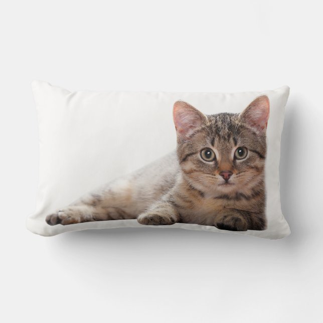 Kitten Gray White Cat Cute Animal  Lumbar Pillow (Front)
