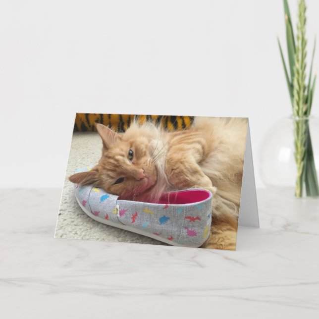 kitten greeting card #3 (Front)