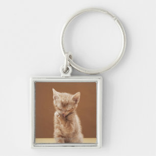 Kitten grooming keychain