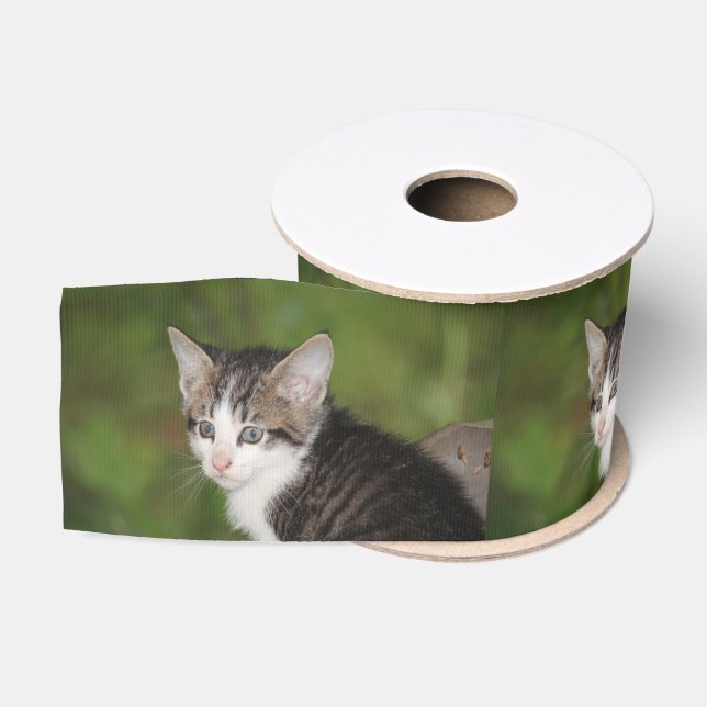 Kitten Grosgrain Ribbon (Spool)
