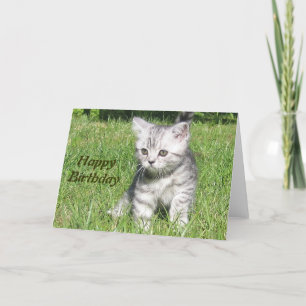 Kitten Happy Birthday greeting card