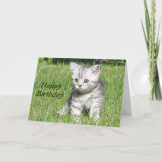 Kitten Happy Birthday greeting card