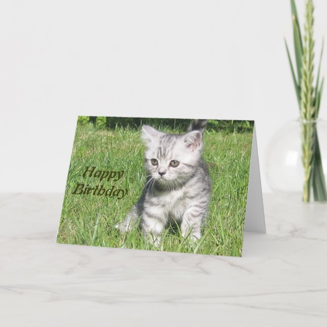 Kitten Happy Birthday greeting card (Front)