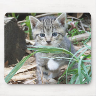 Kitten Hiding Behind Blade of Grass Mouse Pad