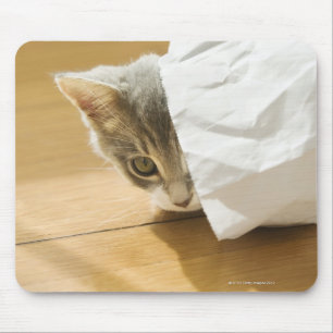 Kitten hiding in paper bag mouse pad