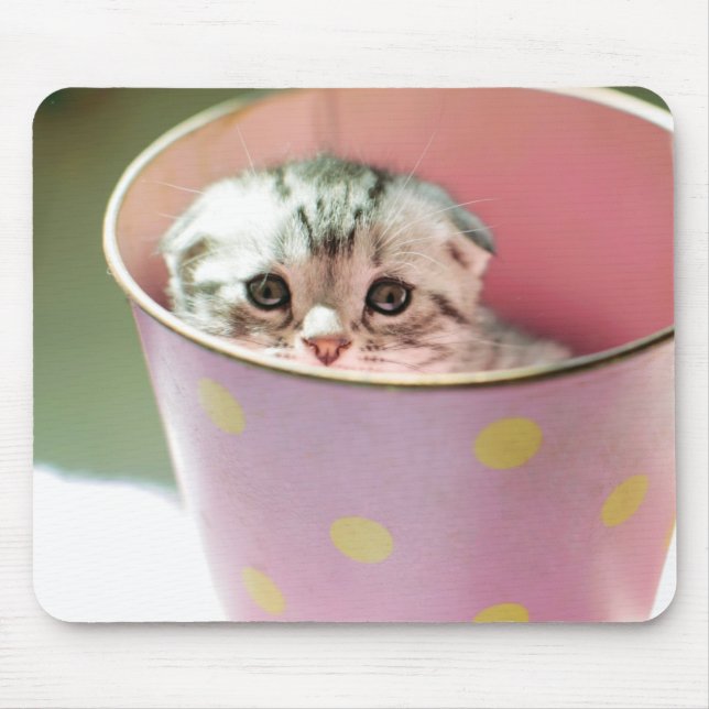 Kitten Hiding Mouse Pad (Front)
