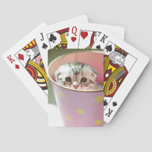 Kitten Hiding Playing Cards