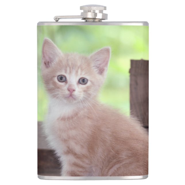 Kitten Hip Flask (Front)
