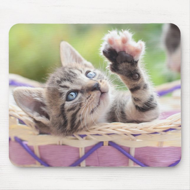 Kitten In A Basket Mouse Pad (Front)