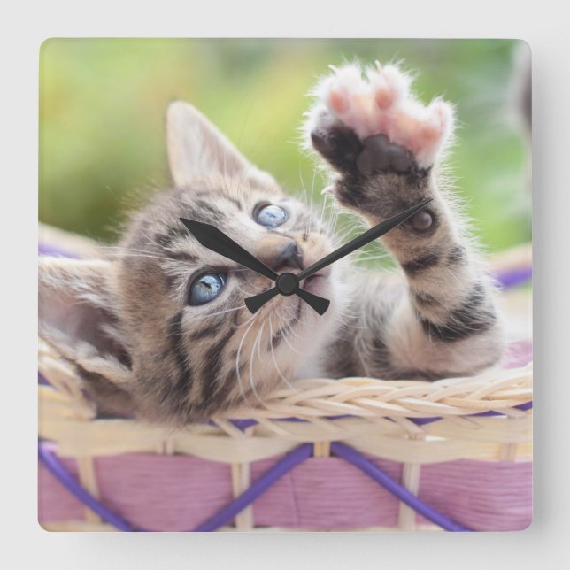 Kitten In A Basket Square Wall Clock (Front)