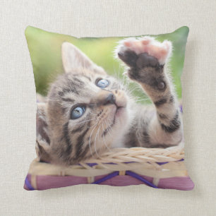 Kitten In A Basket Throw Pillow