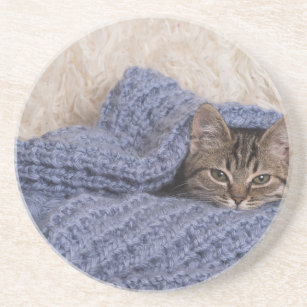 Kitten in a blanket coaster