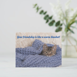 Kitten in a blanket postcard