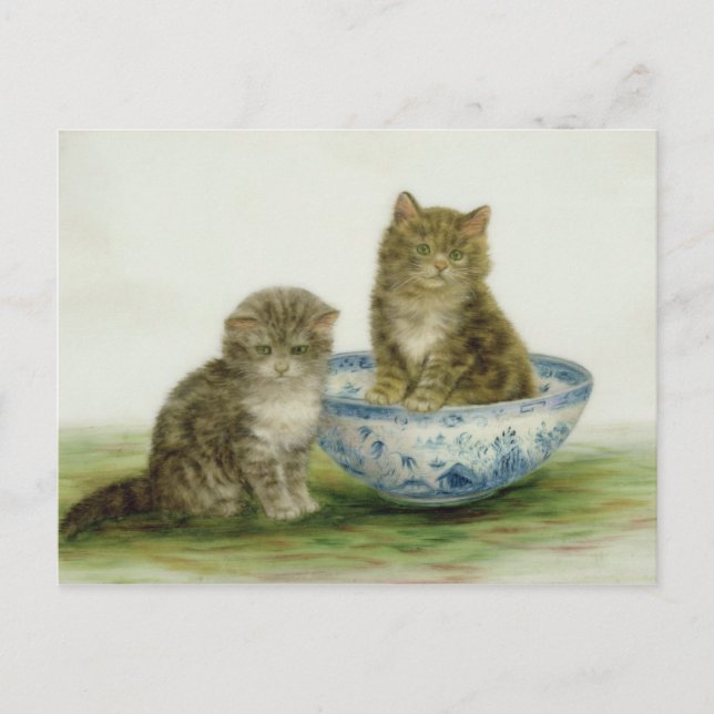 Kitten in a Blue China Bowl Postcard (Front)