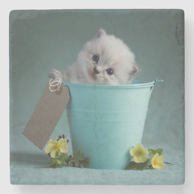 Kitten in a Bucket Stone Coaster (Front)