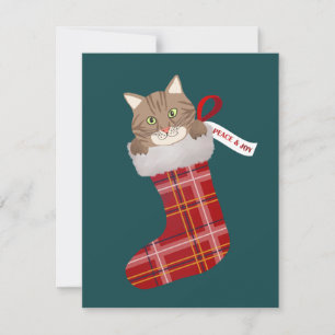 Kitten in a Christmas Stocking Holiday Card