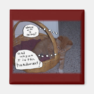 Kitten in a Handbasket Magnet
