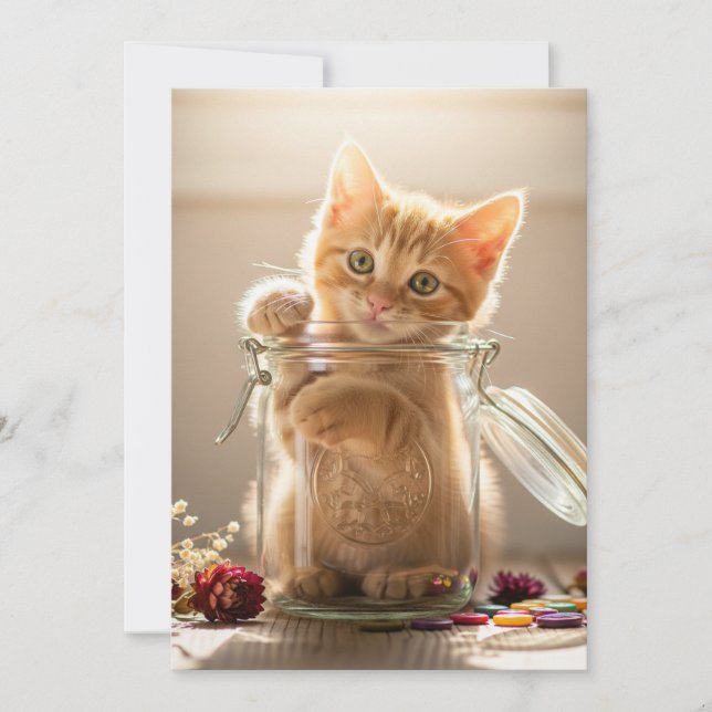 Kitten In A Jar Holiday Card (Front)