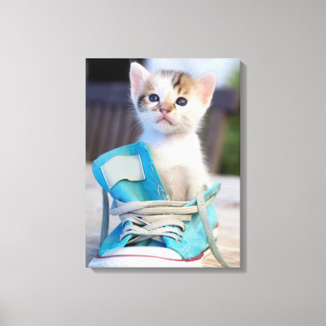 Kitten In A Shoe Canvas Print (Front)