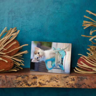 Kitten In A Shoe Plaque