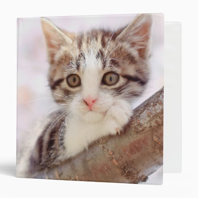 Kitten In A Tree Binder (Front/Inside)