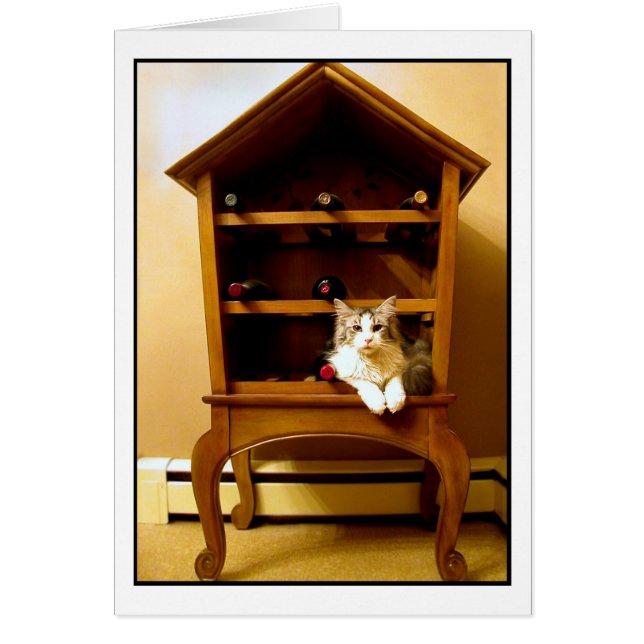 Kitten in a wine rack card (Front)