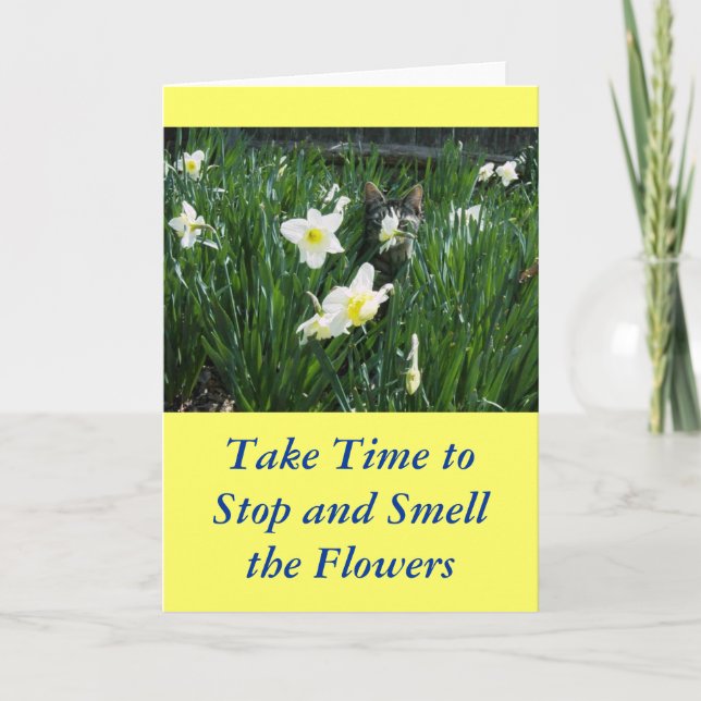 KITTEN IN FLOWERS CARD (Front)