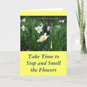 KITTEN IN FLOWERS CARD