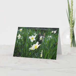 KITTEN IN FLOWERS HOLIDAY CARD
