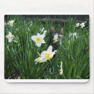 KITTEN IN FLOWERS MOUSE PAD