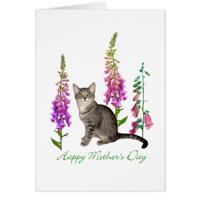 Kitten in Foxgloves Carte de fête des mères (Devant)