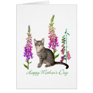 Kitten in Foxgloves Mother's Day Card