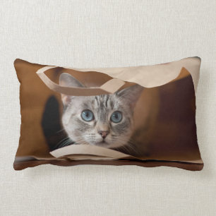 Kitten in Grocery Bag Lumbar Pillow