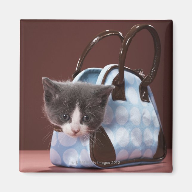 Kitten in handbag magnet (Front)
