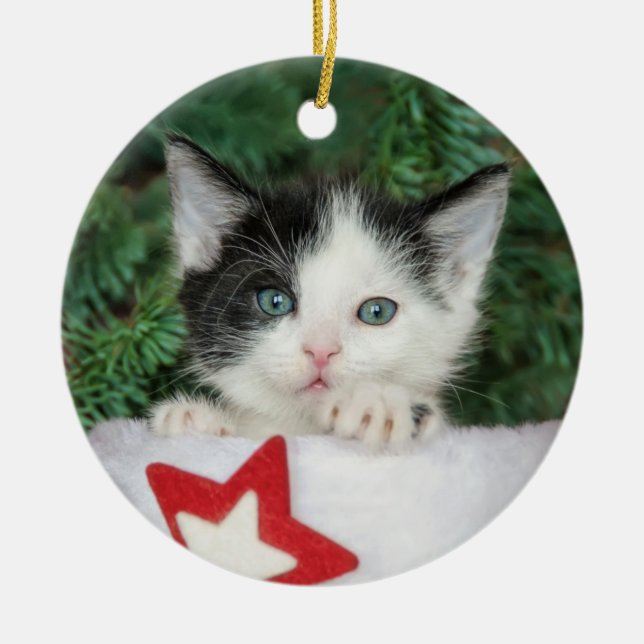 Kitten in red Santa Claus Boot Stocking Christmas Ceramic Ornament (Front)