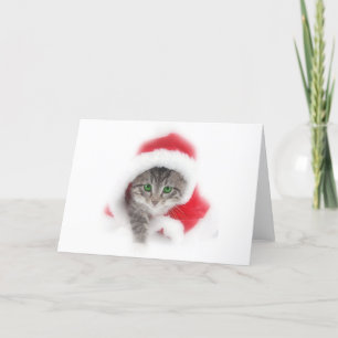 Kitten in Santa hat Holiday Card