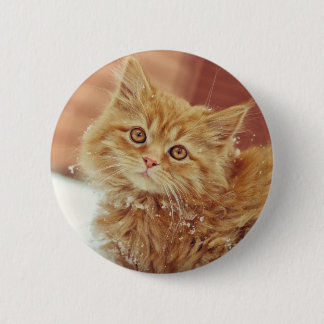 Kitten in Snow 2 Inch Round Button
