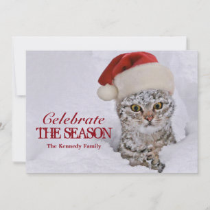 Kitten in snow with santa hat invitation