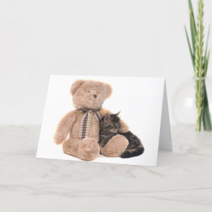 kitten in the arms of a teddy bear card