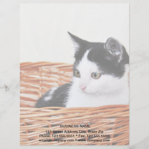 Kitten in the basket letterhead