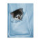 Kitten in the Pocket