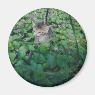Kitten in Violets magnet