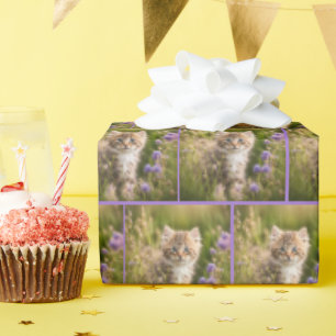 Kitten In Wildflower Field Wrapping Paper