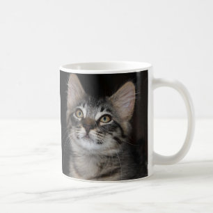 Kitten Innocence White Mug