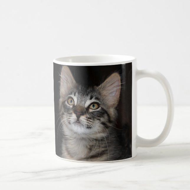 Kitten Innocence White Mug (Right)