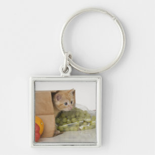 Kitten inside grocery bag keychain