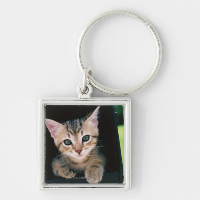 Kitten inside of mailbox keychain (Front)