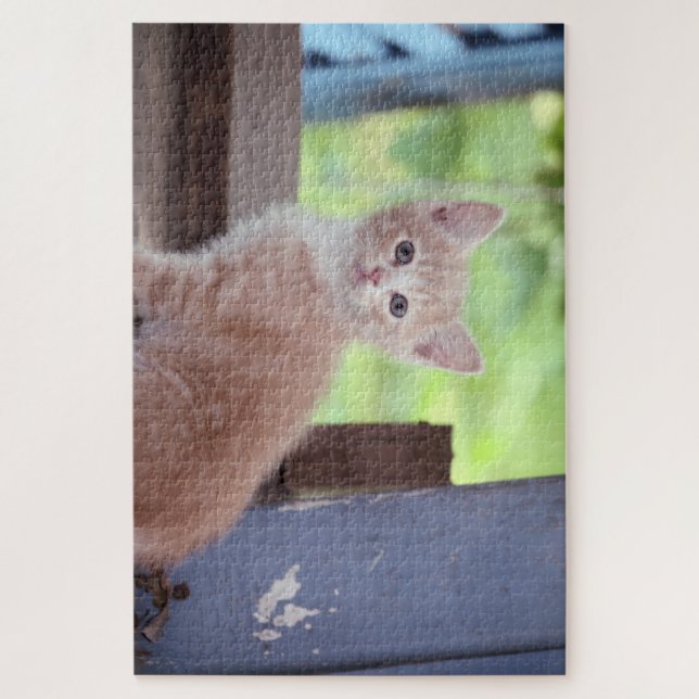 Kitten  jigsaw puzzle (Vertical)