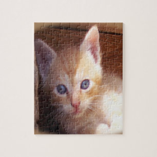 Kitten jigsaw puzzle