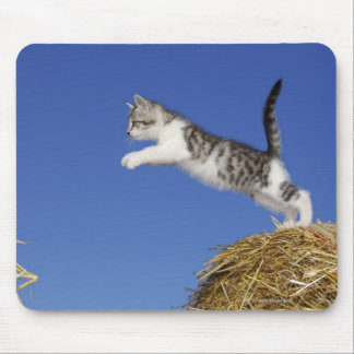 Kitten Jumping 2 Mouse Pad